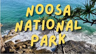 NOOSA NATIONAL PARK I Noosa Sunshine Coast Queensland Australia Travel Vlog 135 2022 [upl. by Ominoreg]