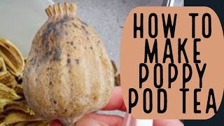 How to Make Poppy Pod Tea [upl. by Dorene]