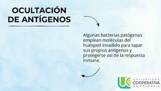 Factores de virulencia bacteriana [upl. by Meean]