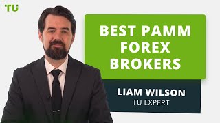 Best PAMM Forex Brokers [upl. by Allare]