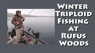 Winter Triploid Fishing at Rufus Woods [upl. by Tolley]