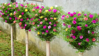 How To Make A Great Vertical Garden For A Small Garden With Plastic Bottles [upl. by Wells]