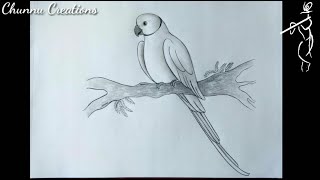 How to draw parrot sketch Parrot drawing Realistic Parrot sketch [upl. by Herrod818]