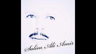 Salim Ali Amir  Nostalgie [upl. by Ykcin]