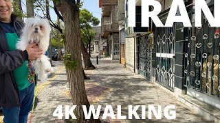 4K WALK IN 🇮🇷 IRAN  Most beautiful places of hamedan iran [upl. by Nimrac]