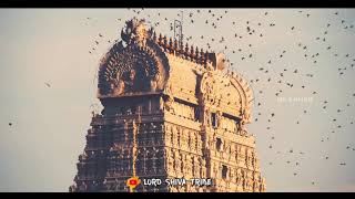 Lord Shiva Whatsapp Status  Tamil  Om Nama Shivaya Aayirathil Oruvan shadow BGM [upl. by Oiuqise]