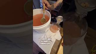 Today on the HomesteadStraining Gooseberry Wine for Secondary Fermentation  Homemade Wine shorts [upl. by Leonard]