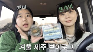 VLOG 제주 여행 브이로그 [upl. by Garvin629]