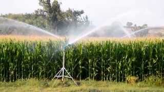 DuCaR JET35  Corn irrigation  2 [upl. by Bushweller]