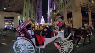 NYC Horse Carriage Ride with Holiday Light Tour [upl. by Judi736]