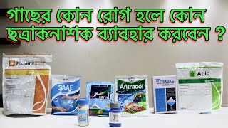 ছত্রাকনাশকের সঠিক ব্যবহার ।গাছের ছত্রাক নাশক ঔষধ । Plant Fungicide application। [upl. by Bow]