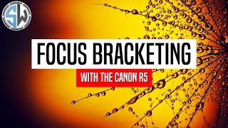 Focus Bracketing with the Canon R5  Macro Photography [upl. by Che163]