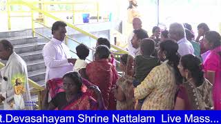 StDevasahayam Shrine Nattalam [upl. by Maye]