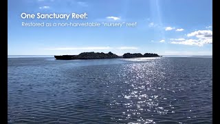 Beezley Reef Restoration Project [upl. by Atterg]