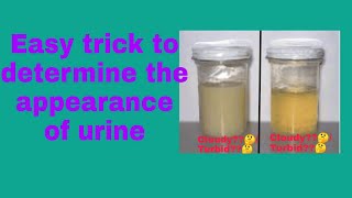 Is it dangerous to have a bubbly or foamy urine everytime you urinate [upl. by O'Doneven]