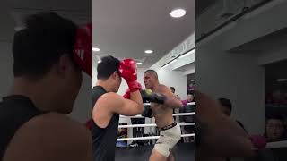 Boxer goes toetotoe with UFC champ Alex Pereira during a South Korea gym session 😳 Boxing MMA [upl. by Gayler769]