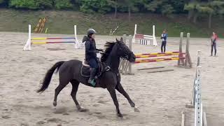 【乗馬】障害飛ぶの上手すぎ問題horse jumping [upl. by Terag]