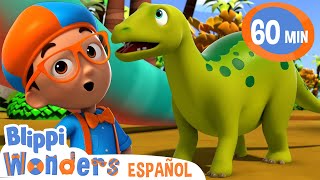 El dinosaurio más grande  Blippi Wonders  Caricaturas para niños [upl. by Ramey]