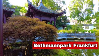 Frankfurt am Main Der Bethmannpark  Chinesischer Garten  2021 ChathaFoodVlog [upl. by Coppock616]