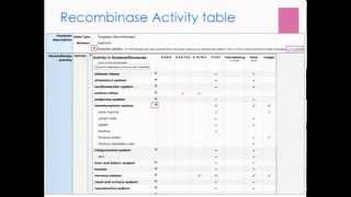 crelox and cre recombinases in Mouse Genome Informatics worksheet module 2 [upl. by Jacquie]