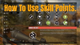 🦌 How to use SKILL POINTS Which are the Best  The Hunter Call of the Wild [upl. by Nivla]