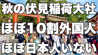 【4K】2024年10月29日（火）秋の京都伏見稲荷大社はほぼ10割外国人で日本人いません！秋天的京都伏见稻荷大社几乎100都是外国人，没有日本人！ [upl. by Bearnard]