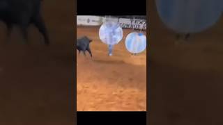 Bull Vs Bubble Ball Human [upl. by Gretchen198]