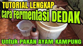 LENGKAP Cara Fermentasi Dedak Untuk Pakan Ayam [upl. by Tsan]