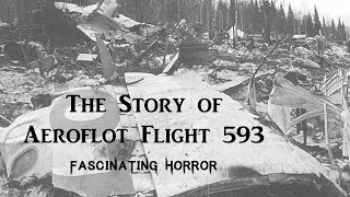 The Story of Aeroflot Flight 593  A Short Documentary  Fascinating Horror [upl. by Aihsot]