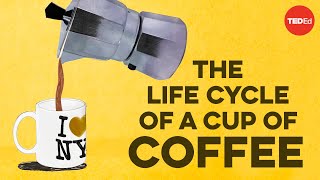 The life cycle of a cup of coffee  AJ Jacobs [upl. by Alauqahs]