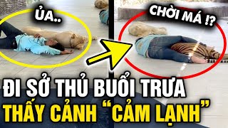 Vào sở thú GIỜ NGHỈ TRƯA cô gái chứng kiến CẢNH TƯỢNG HỮU TÌNH trong chuồng hổ  Tin 3 Phút [upl. by Ansell263]