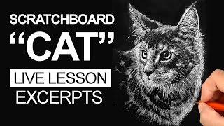 Scratchboard Art Lesson  Cat [upl. by Torp]