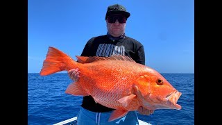 Fraser Island Monster Nannygai Caught in the Bay Hervey Bay fishing [upl. by Gasparo]