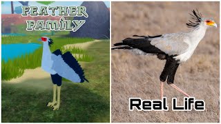 Feather Family In Real Life 4 [upl. by Adnak]