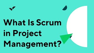 What Is Scrum in Project Management [upl. by Fezoj]