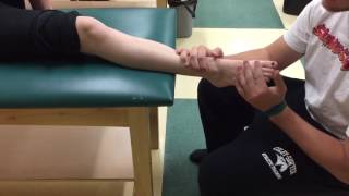 Ankle Sprain EvertorPeroneal Strengthening [upl. by Mannes]