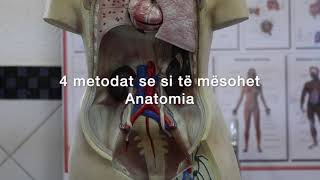 4 metodat se si te mesohet Anatomia [upl. by Diraj727]