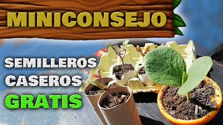 ▶ Cómo Hacer Semilleros Caseros GRATIS 🌱 Almácigos Biodegradables  Huerto Urbano en Casa [upl. by Tabber981]