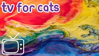 Cat TV 8 Hours of stimulating abstract footage to entertain your cat [upl. by Zarihs]