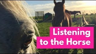 Listening to the Horse Documentary  Full Length Horse Movie Part 1 of 7 episode 1  Elaine Heney [upl. by Rubin]