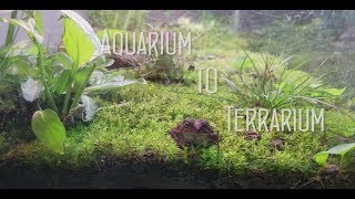 Aquarium to Terrarium [upl. by Elodia]