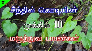 Karunjeeragam is good but  DrGSivaraman  Health Basket Health Tips [upl. by Harte]