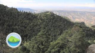 Áreas Naturales Protegidas del Estado de Guanajuato [upl. by Hgielrebma]