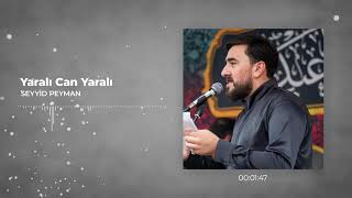 Seyyid Peyman  Yaralı Can Yaralı Official Aduio Clip [upl. by Tierell]