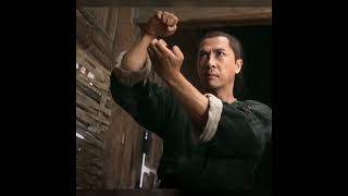 LESSER KNOWN DONNIE YEN MOVIES funfacts [upl. by Zeus]