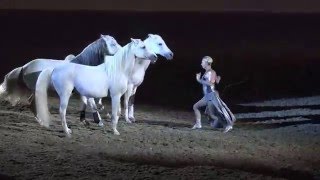 Liberty with 3 horses  Sylvia Zerbini  Night of the Horse 2016  Del Mar National Horse Show [upl. by Sammy]