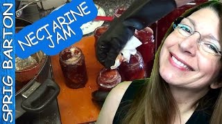 BEST NECTARINE JAM ★ PEACH PRESERVES ★ GREAT RECIPES ★ [upl. by Nahgaem322]