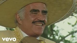 Vicente Fernández  Un Millon De Primaveras [upl. by Euqram]