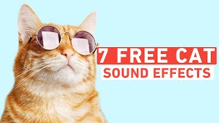 7 Free Cat Sound Effects  Shutterstock Tutorials [upl. by Abil]