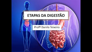 ETAPAS DA DIGESTÃO [upl. by Hafital]